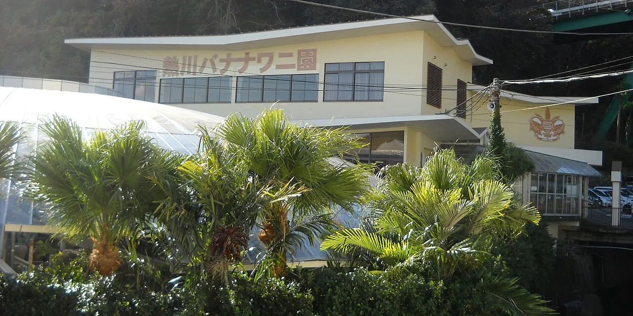 Palm trees outside the Atagawa Tropical and Alligator Garden building